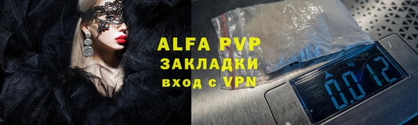 молекула духа Бронницы
