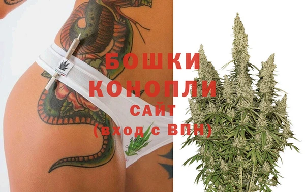 молекула духа Бронницы