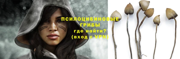а пвп мука Бугульма