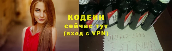 СК Бородино