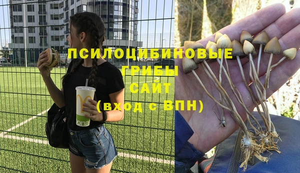 мдпв Верхнеуральск
