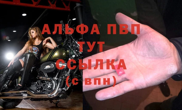 СК Бородино