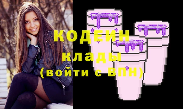 молекула духа Бронницы