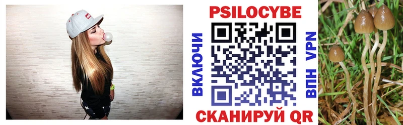 Галлюциногенные грибы ЛСД даркнет сайт Петропавловск-Камчатский